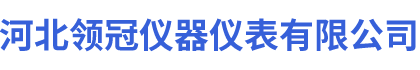 沛_��领冠仪器仪表有限公司